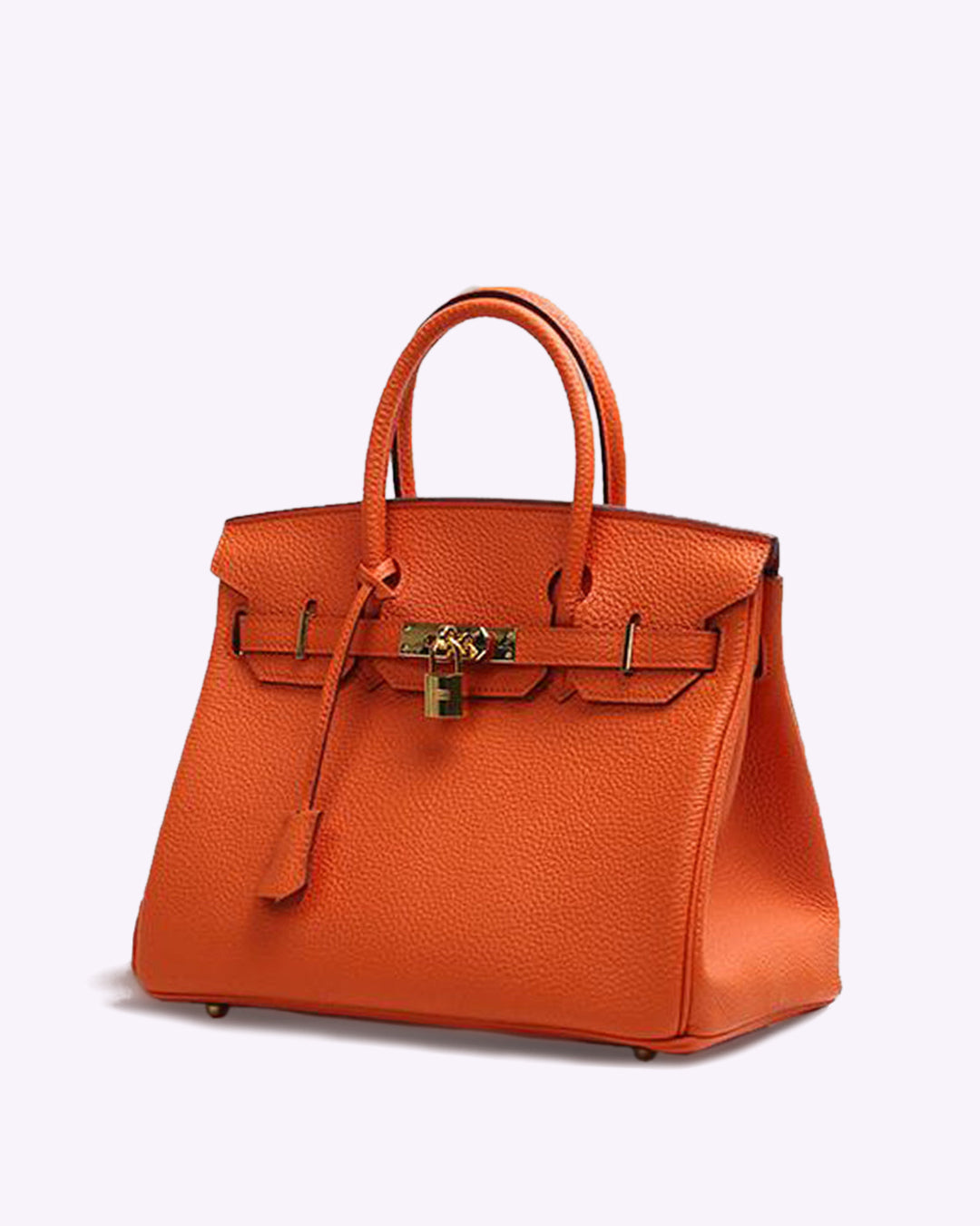 Luxurious Leather Handbag